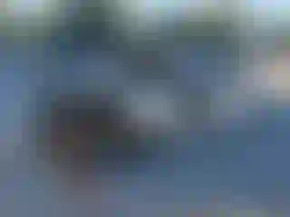 Vehicle Image- 2005 Ford Mustang