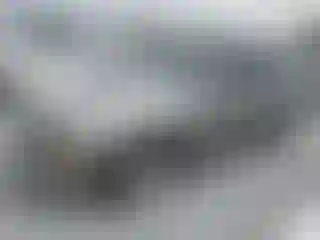 Vehicle Image- 2008 Ford Mustang