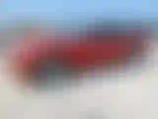 Vehicle Image- 2008 Ford Mustang