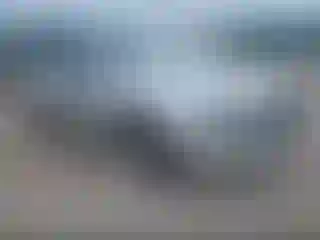 Vehicle Image- 2008 Ford Mustang