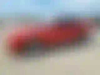 Vehicle Image- 2008 Ford Mustang