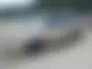 Vehicle Image- 2007 Chrysler Minivan