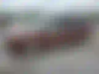 Vehicle Image- 2007 Chrysler Minivan