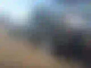 Vehicle Image- 2010 Dodge Charger