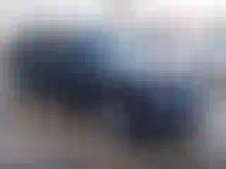 Vehicle Image- 2010 Dodge Charger