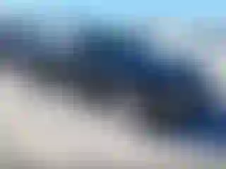 Vehicle Image- 2010 Dodge Charger