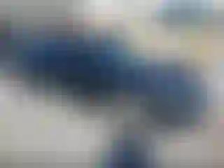 Vehicle Image- 2010 Dodge Charger