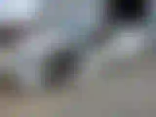 Vehicle Image- 2010 Dodge Charger