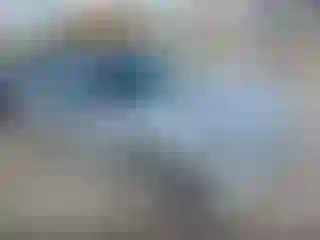 Vehicle Image- 2010 Dodge Charger