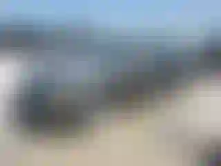 Vehicle Image- 2010 Dodge Charger