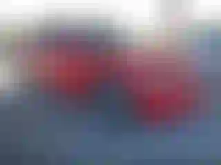 Vehicle Image- 2010 Dodge Charger