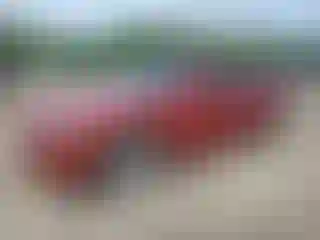 Vehicle Image- 2010 Dodge Charger