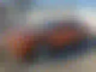 Vehicle Image- 2011 Dodge Challenger