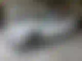 Vehicle Image- 2011 Dodge Challenger