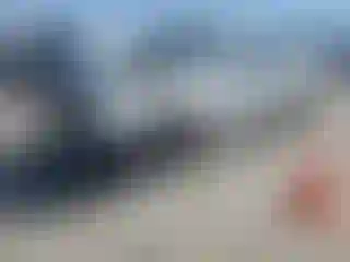 Vehicle Image- 2011 Dodge Challenger