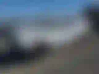 Vehicle Image- 2011 Dodge Challenger