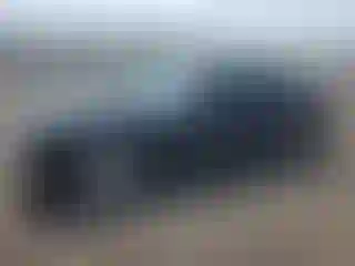 Vehicle Image- 2011 Dodge Challenger