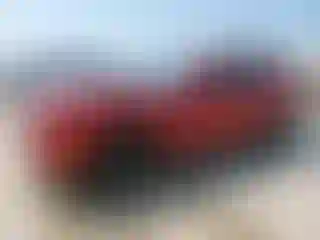 Vehicle Image- 2010 Dodge Challenger