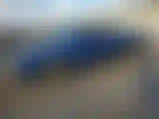 Vehicle Image- 2010 Dodge Challenger