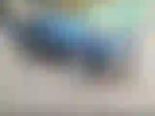 Vehicle Image- 2010 Dodge Challenger