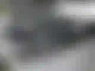 Vehicle Image- 2010 Dodge Challenger