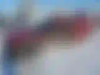 Vehicle Image- 2010 Dodge Challenger