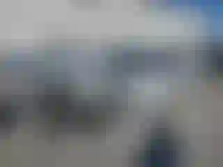 Vehicle Image- 2010 Dodge Challenger