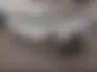 Vehicle Image- 2010 Dodge Challenger