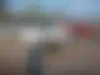 Vehicle Image- 2011 Dodge Charger