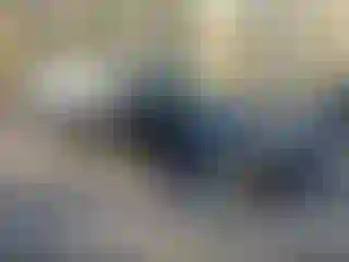 Vehicle Image- 2011 Dodge Charger