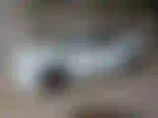 Vehicle Image- 2011 Dodge Charger