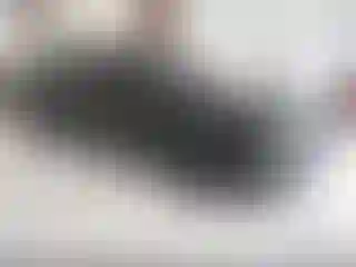 Vehicle Image- 2011 Dodge Charger