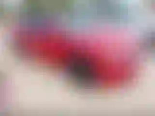 Vehicle Image- 2011 Dodge Charger