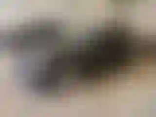 Vehicle Image- 2011 Dodge Charger