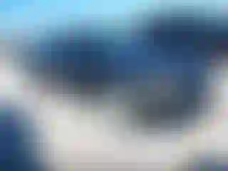 Vehicle Image- 2011 Dodge Charger