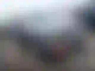 Vehicle Image- 2009 Dodge Charger