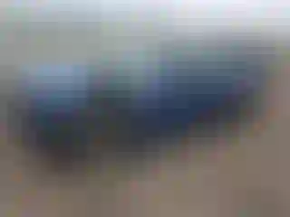 Vehicle Image- 2009 Dodge Charger