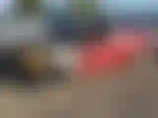 Vehicle Image- 2006 Dodge Charger