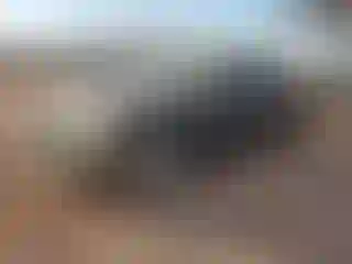 Vehicle Image- 2007 Dodge Charger