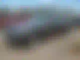 Vehicle Image- 2008 Dodge Charger