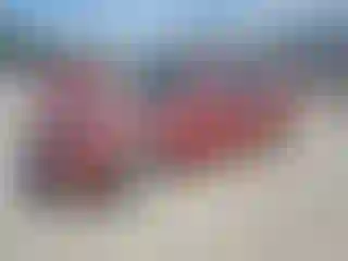 Vehicle Image- 2006 Dodge Charger