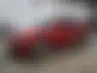 Vehicle Image- 2006 Dodge Charger