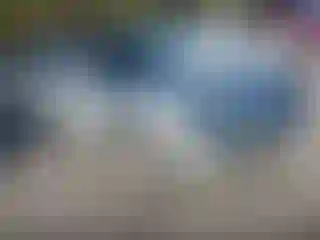 Vehicle Image- 2008 Dodge Charger