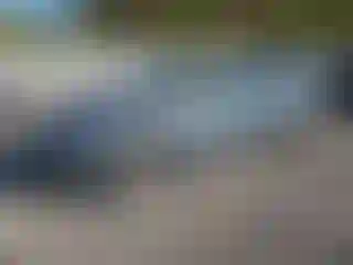 Vehicle Image- 2006 Dodge Charger