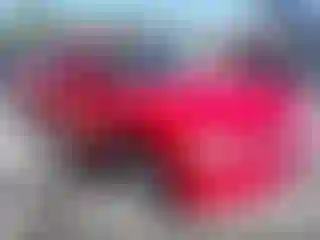 Vehicle Image- 2007 Dodge Charger
