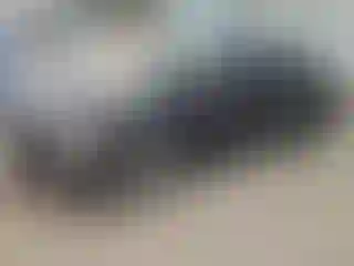 Vehicle Image- 2009 Dodge Charger