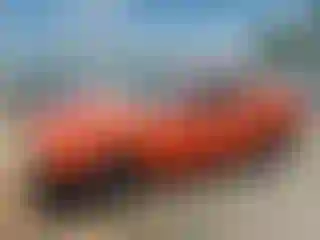 Vehicle Image- 2009 Dodge Challenger