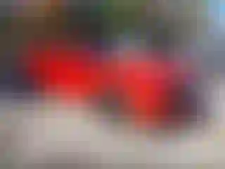 Vehicle Image- 2009 Dodge Challenger