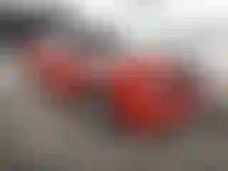 Vehicle Image- 2009 Dodge Challenger