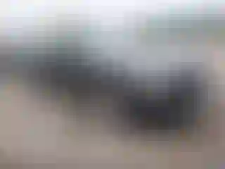 Vehicle Image- 2008 Dodge Charger